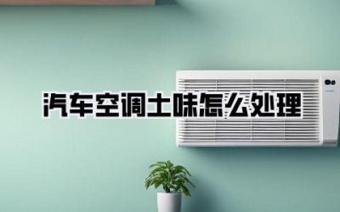 【汽车空调土味怎么处理：告别霉味臭味，让爱车重焕清新，驾驶体验UP！】
