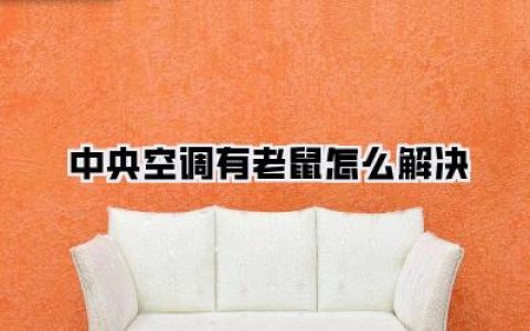 【中央空调有老鼠怎么解决，我的血泪史和终极指南！】