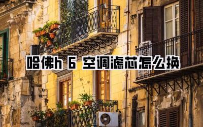 哈佛h6空调滤芯怎么换