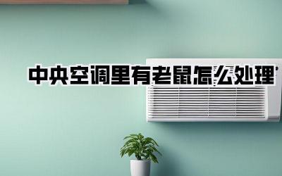 中央空调里有老鼠怎么处理