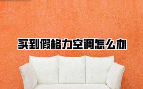 【买到假格力空调怎么办？】黑心商家，我跟你杠上了！