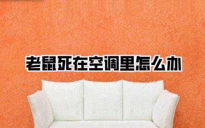 老鼠死在空调里怎么办