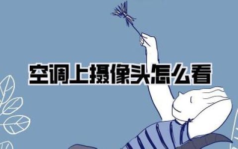 【空调上摄像头怎么看】这玩意儿？我来告诉你，别慌！