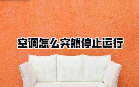 最后想说的话：