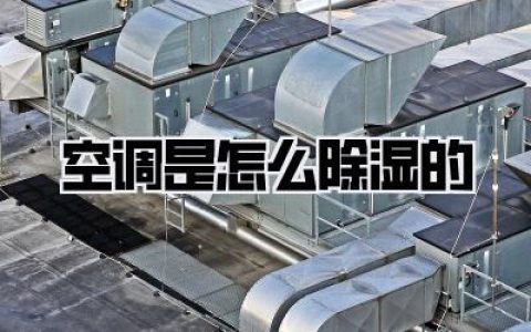 【南方人回南天救赎指南】深扒空调是怎么除湿的，99%的人都用错了！