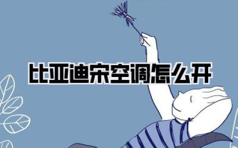 【比亚迪宋空调怎么开】