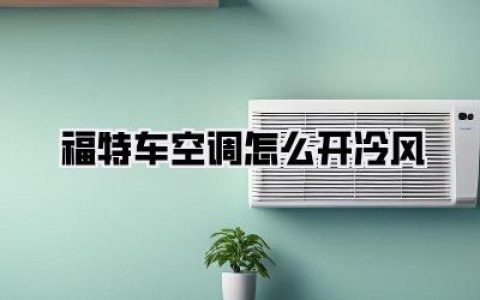 福特车空调怎么开冷风？别再傻傻开窗了，老司机手把手教你三秒酷爽！
