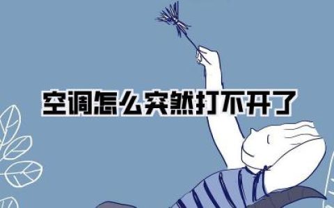 总结一下，空调不开机自救流程图：