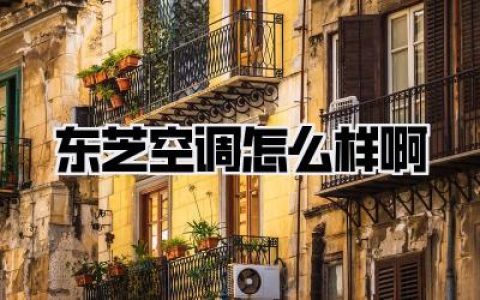 【深度体验扒一扒】装修小白血泪总结：东芝空调怎么样啊？值不值得冲？