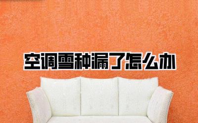 空调雪种漏了怎么办