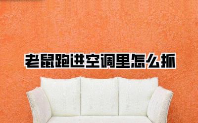 老鼠跑进空调里怎么抓