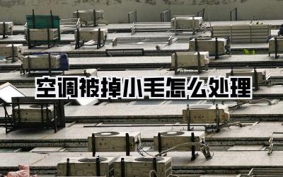 空调被掉小毛怎么处理