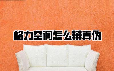 格力空调怎么辩真伪