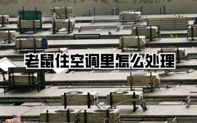 老鼠住空调里怎么处理