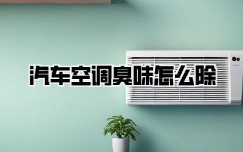 【汽车空调臭味怎么除】