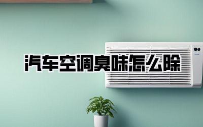 汽车空调臭味怎么除