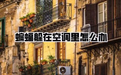 深夜惊魂！蝙蝠躲在空调里怎么办？亲身血泪史教你三步搞定不速之客！