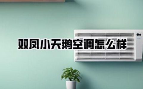 双凤小天鹅空调怎么样？亲测一夏，优缺点我掰开揉碎了讲给你听！