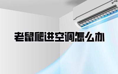 老鼠爬进空调怎么办