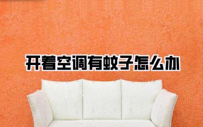 开着空调有蚊子怎么办