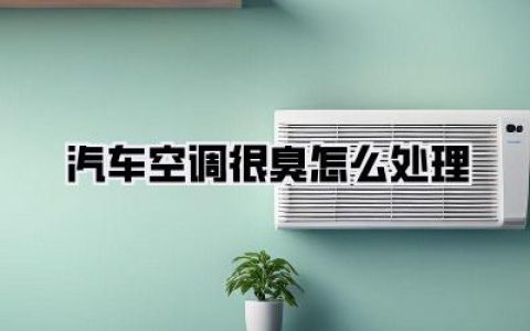 汽车空调很臭怎么处理