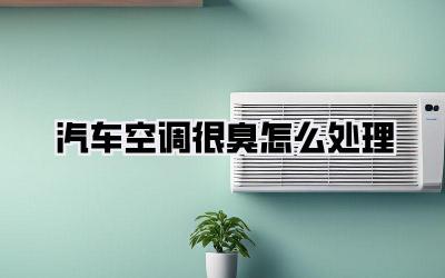汽车空调很臭怎么处理