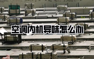 空调内机异味怎么办