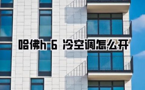 搞定哈佛H6冷空调怎么开，新手秒懂！告别夏日闷罐车，看这篇就够了！