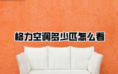 格力空调多少匹怎么看