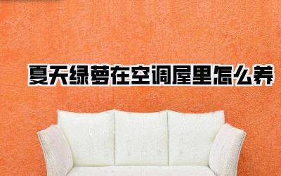 夏天绿萝在空调屋里怎么养