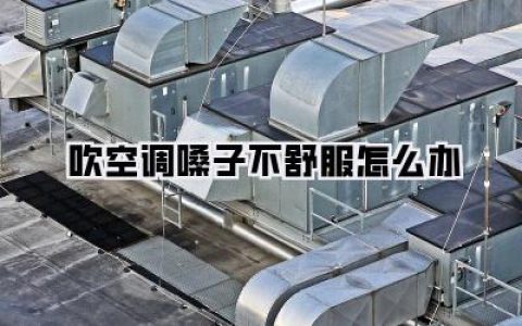 吹空调嗓子不舒服怎么办