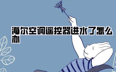 海尔空调遥控器进水了怎么办